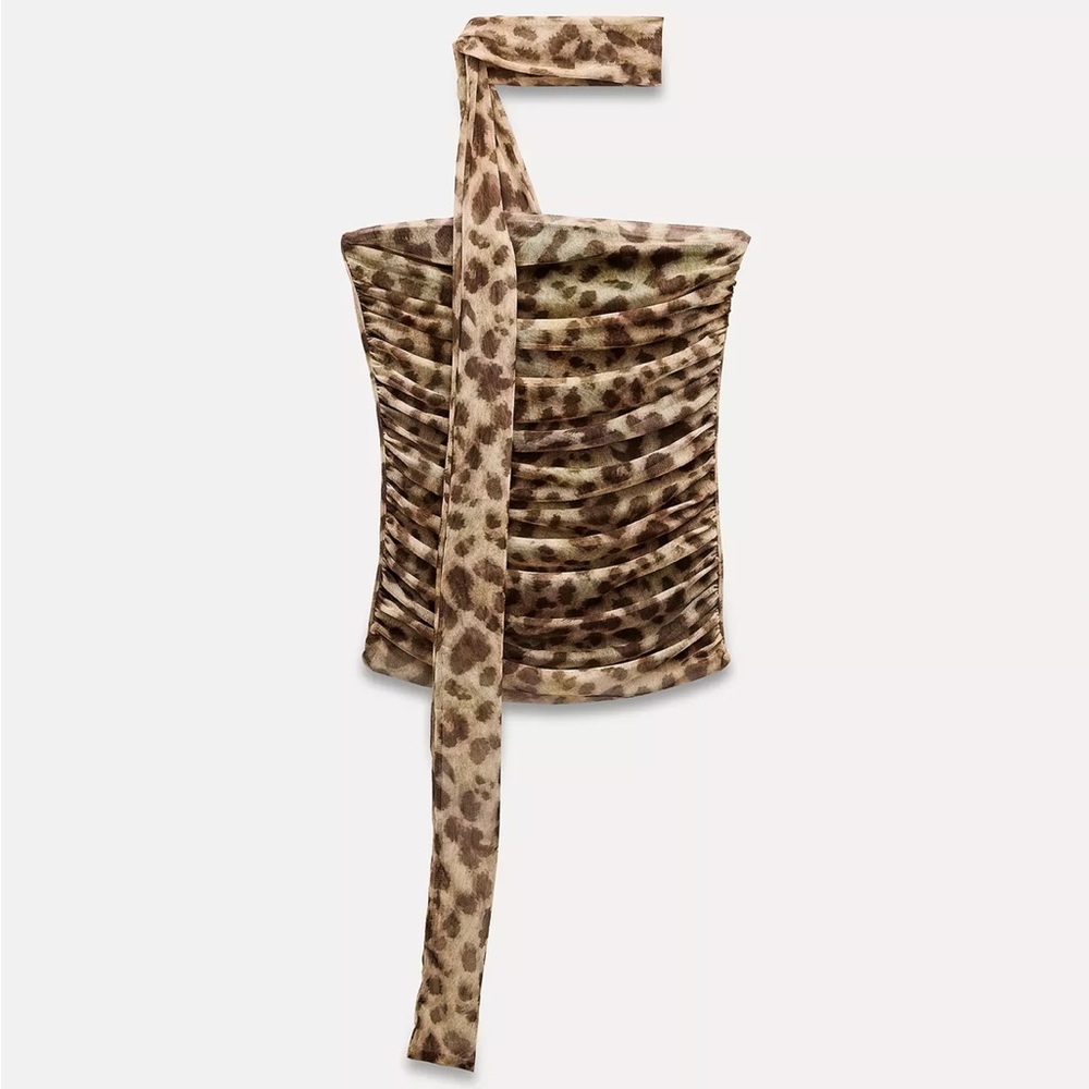 Zara Leopard Print Strapless Top